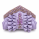 l.purple